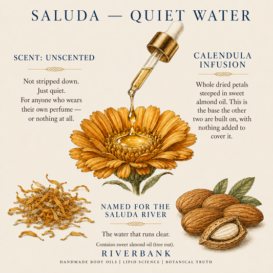 SALUDA — Quiet Water