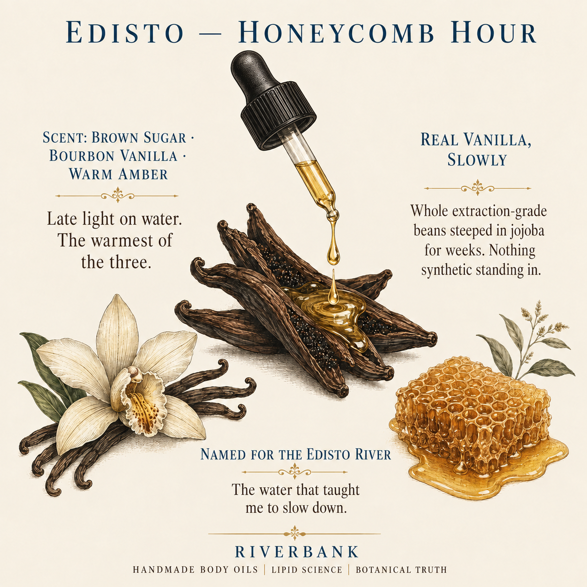 EDISTO Honeycomb Hour scent and ingredient card: brown sugar, bourbon vanilla, warm amber