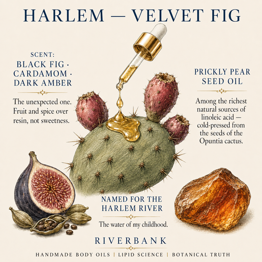 HARLEM — Velvet Fig